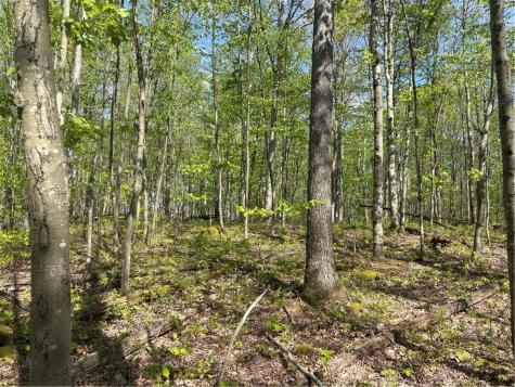 Lot 3 & 4 Killarney Road Springfield Township PA 15464