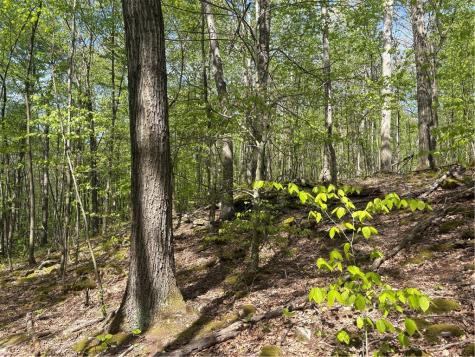 Lot 3 & 4 Killarney Road Springfield Township PA 15464