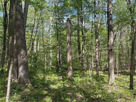 Lot 3 & 4 Killarney Road Springfield Township PA 15464