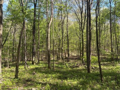 Lot 3 & 4 Killarney Road Springfield Township PA 15464