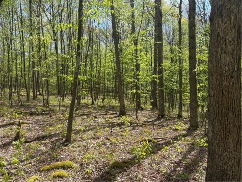 Lot 3 & 4 Killarney Road Springfield Township PA 15464