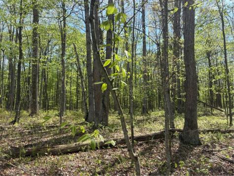 Lot 3 & 4 Killarney Road Springfield Township PA 15464