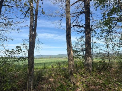 Lot 3 & 4 Killarney Road Springfield Township PA 15464