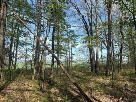 Lot 3 & 4 Killarney Road Springfield Township PA 15464