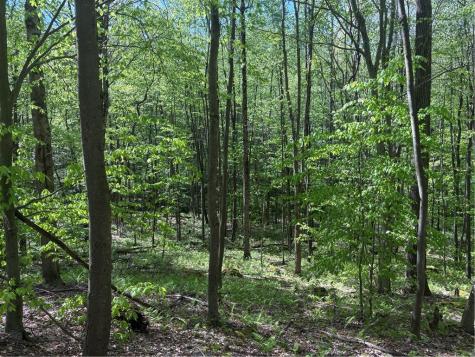 Lot 3 & 4 Killarney Road Springfield Township PA 15464