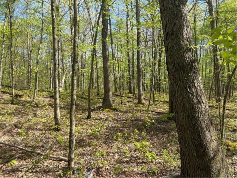 Lot 3 & 4 Killarney Road Springfield Township PA 15464