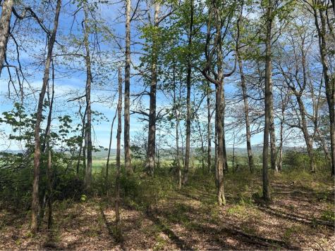 Lot 3 & 4 Killarney Road Springfield Township PA 15464
