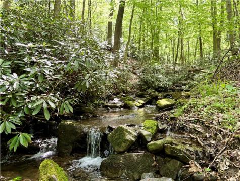 Lot 1c Cottonwood Road Bullskin Township PA 15610