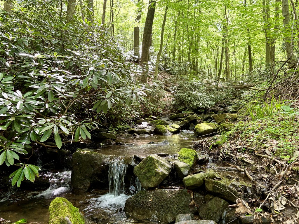 Lot 1c Cottonwood Road Bullskin Township PA 15610