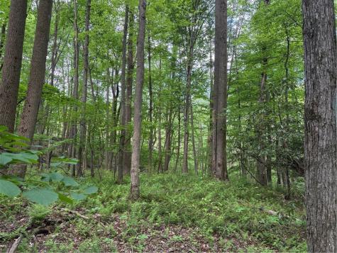 Lot 1c Cottonwood Road Bullskin Township PA 15610