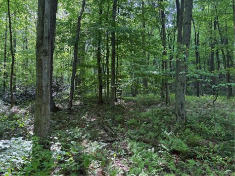 Lot 1c Cottonwood Road Bullskin Township PA 15610