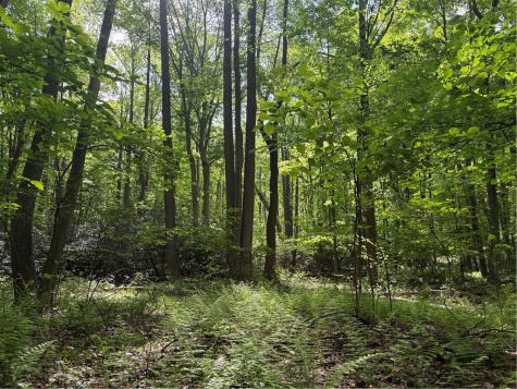 Lot 1c Cottonwood Road Bullskin Township PA 15610