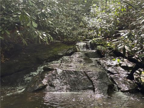 Lot 1c Cottonwood Road Bullskin Township PA 15610