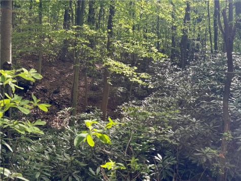 Lot 1c Cottonwood Road Bullskin Township PA 15610