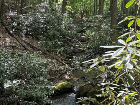 Lot 1c Cottonwood Road Bullskin Township PA 15610