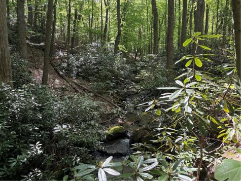 Lot 1c Cottonwood Road Bullskin Township PA 15610