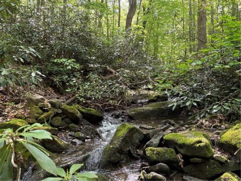 Lot 1c Cottonwood Road Bullskin Township PA 15610