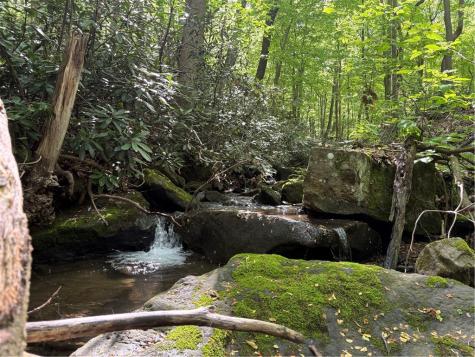 Lot 1c Cottonwood Road Bullskin Township PA 15610