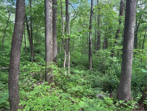Lot 1c Cottonwood Road Bullskin Township PA 15610