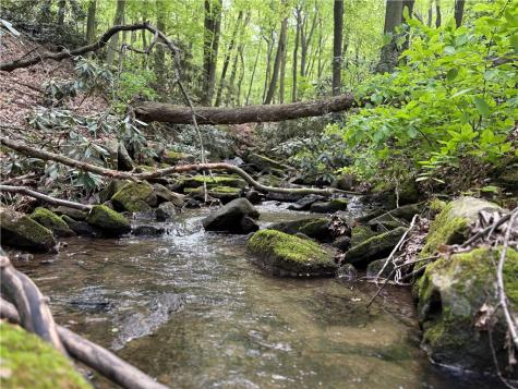 Lot 1c Cottonwood Road Bullskin Township PA 15610