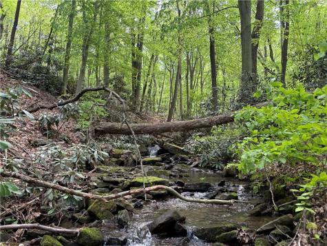 Lot 1c Cottonwood Road Bullskin Township PA 15610
