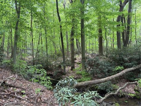 Lot 1c Cottonwood Road Bullskin Township PA 15610