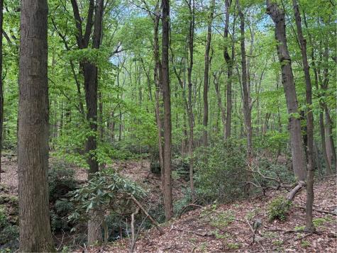 Lot 1c Cottonwood Road Bullskin Township PA 15610