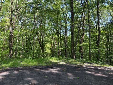 Lot 1c Cottonwood Road Bullskin Township PA 15610