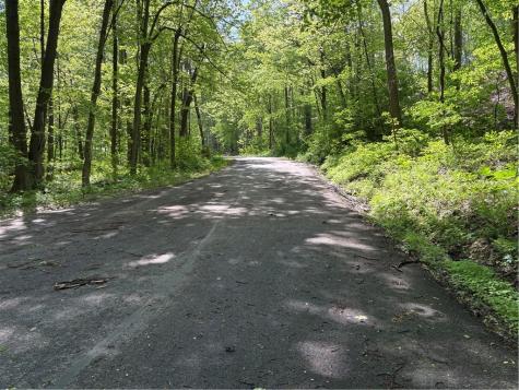 Lot 1c Cottonwood Road Bullskin Township PA 15610