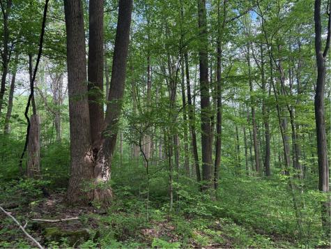 Lot 1c Cottonwood Road Bullskin Township PA 15610