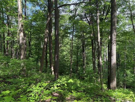 Lot 1c Cottonwood Road Bullskin Township PA 15610