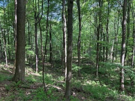 Lot 1c Cottonwood Road Bullskin Township PA 15610