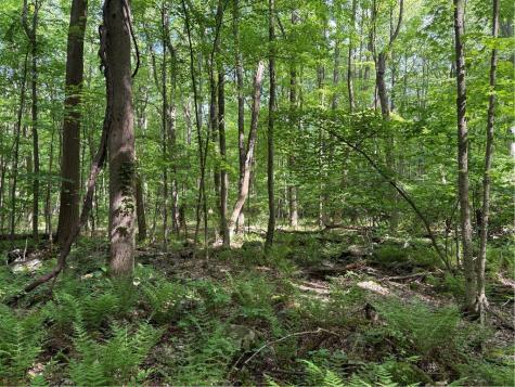 Lot 1c Cottonwood Road Bullskin Township PA 15610