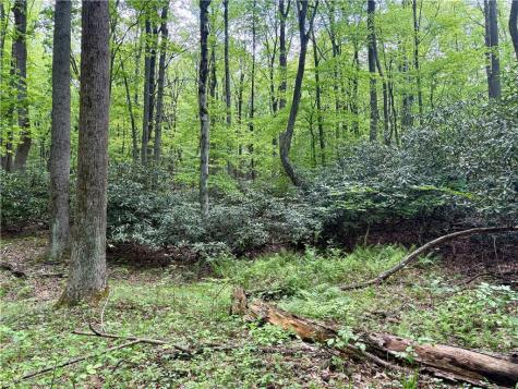 Lot 1c Cottonwood Road Bullskin Township PA 15610