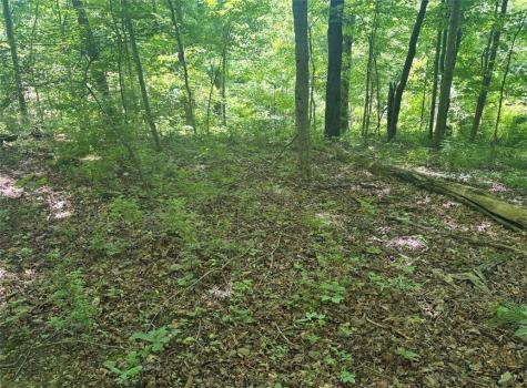 0 Tr117-nr Woodside Nicholson Township PA 15478