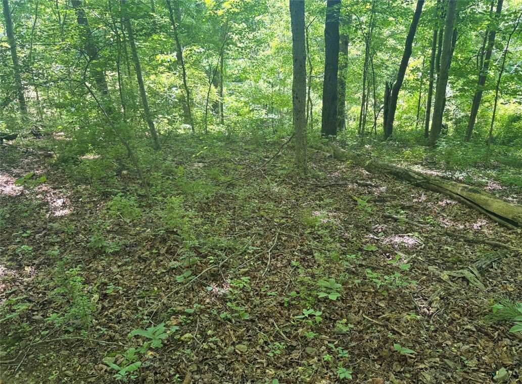 0 Tr117-nr Woodside Nicholson Township PA 15478