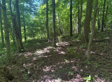 0 Tr117-nr Woodside Nicholson Township PA 15478