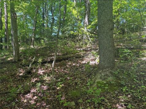 0 Tr117-nr Woodside Nicholson Township PA 15478