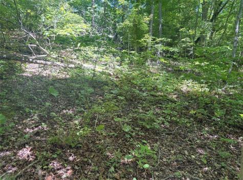 0 Tr117-nr Woodside Nicholson Township PA 15478