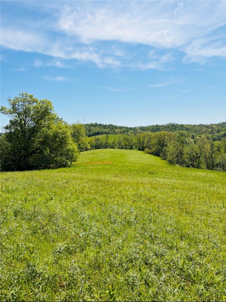 0 Lyons Road Lot 4 Donegal PA 15323