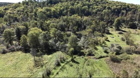 0 Campbell Hollow Road Petrolia Boro PA 16050
