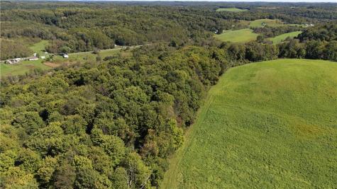 0 Campbell Hollow Road Petrolia Boro PA 16050