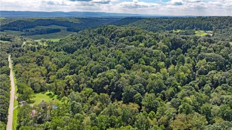 1248 Pierce Road Center Township/homer Cty PA 15748