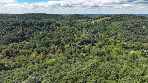 1248 Pierce Road Center Township/homer Cty PA 15748