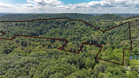1248 Pierce Road Center Township/homer Cty PA 15748