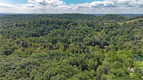 1248 Pierce Road Center Township/homer Cty PA 15748