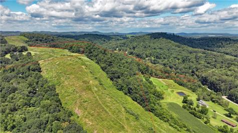 1248 Pierce Road Center Township/homer Cty PA 15748