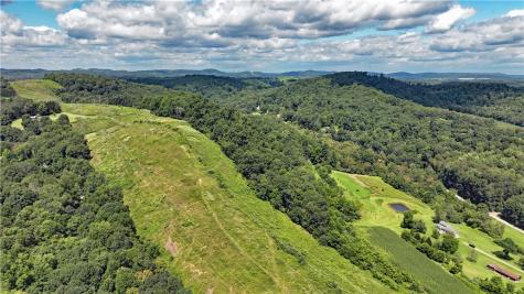 1248 Pierce Road Center Township/homer Cty PA 15748