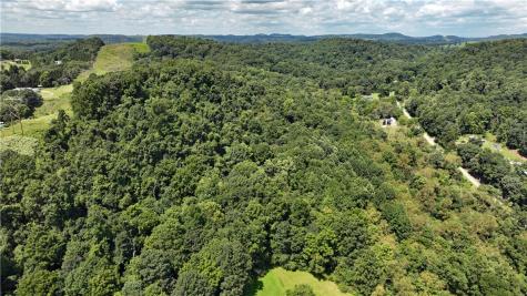 1248 Pierce Road Center Township/homer Cty PA 15748