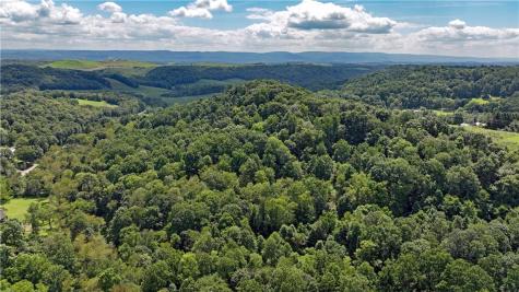 1248 Pierce Road Center Township/homer Cty PA 15748